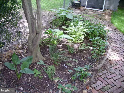 Exterior - 6807 Bluefield Ct, Springfield, VA 22152 photo 3 of 7