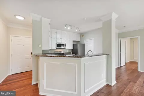 Other - 1530 Spring Gate Dr #9214, Mclean, VA 22102 photo 3 of 12