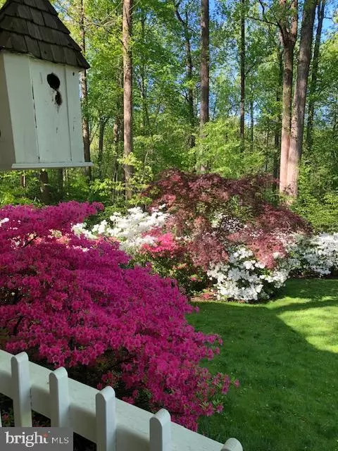 Exterior - 8509 Brook Rd, Mclean, VA 22102 photo 21 of 22