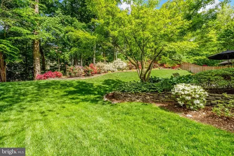Exterior - 7410 Silver Pine Dr, Springfield, VA 22153 photo 9 of 10