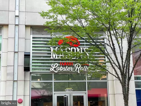 Exterior - 11611 Deer Forest Rd, Reston, VA 20194 photo 35 of 38