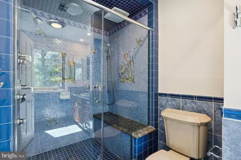 Bath - 11805 Blue Spruce Rd, Reston, VA 20191 photo 5 of 8