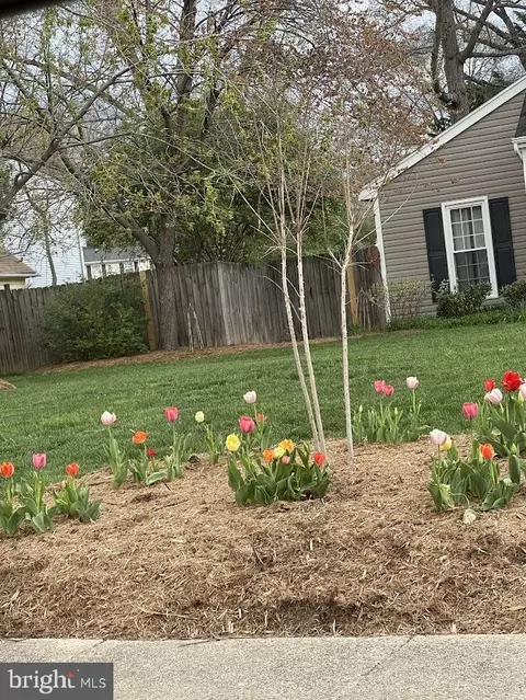 Exterior - 9348 Burke Rd, Burke, VA 22015 photo 6 of 28