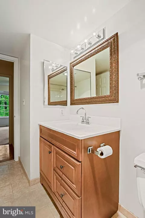 Bath - 7720 Tremayne Pl #310, Mclean, VA 22102 photo 2 of 4
