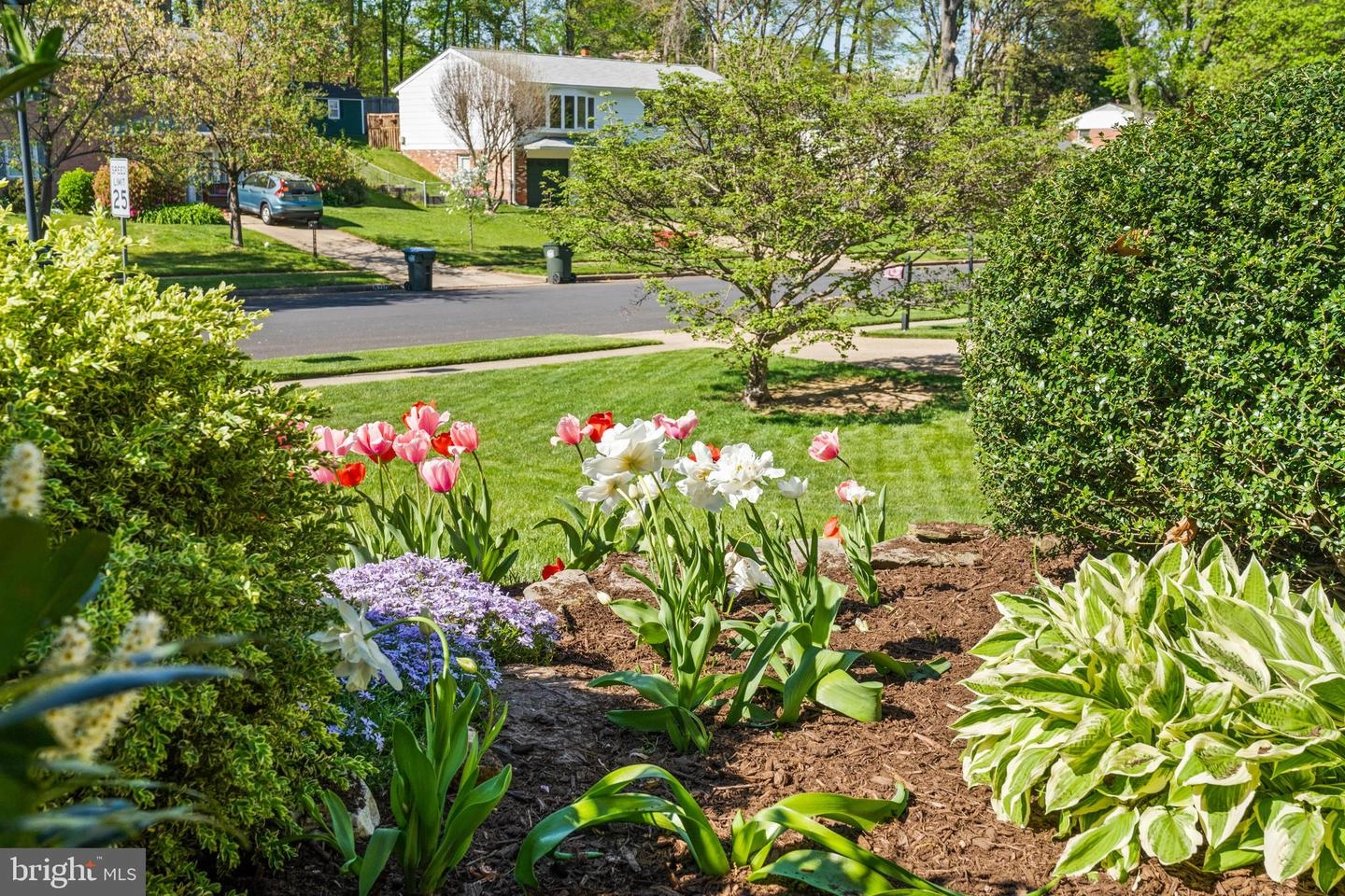 Exterior - 8713 Kerry Ln, Springfield, VA 22152 photo 22 of 22