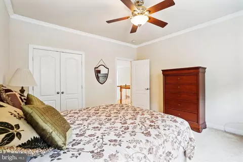 7311 Beechwood Dr, Springfield, VA 22153 photo 47