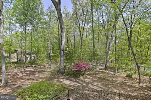 Exterior - 12008 Whip Rd, Reston, VA 20191 photo 6 of 11