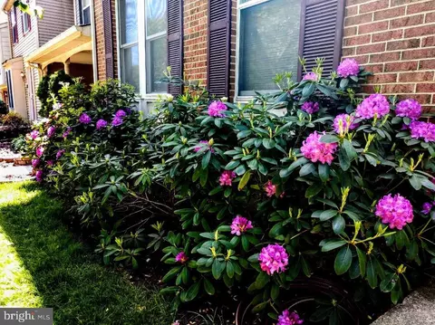 9067 Tiffany Park Ct, Springfield, VA 22152 photo 24