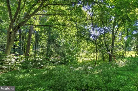 95 River Birch Dr, Great Falls, VA 22066