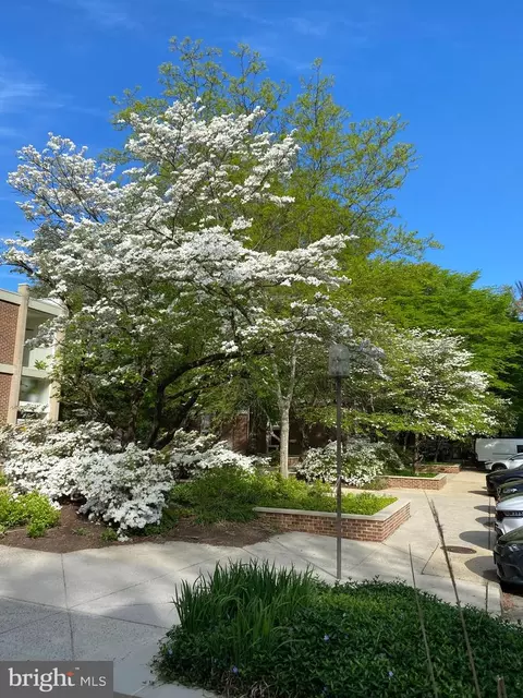 11509 Maple Ridge Rd, Reston, VA 20190 photo 43