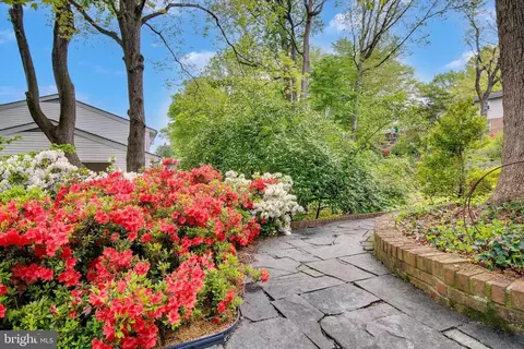 6915 Hadlow Dr, Springfield, VA 22152 photo 38