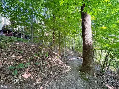 Exterior - 7986 Hidden Bridge Dr, Springfield, VA 22153 photo 7 of 7