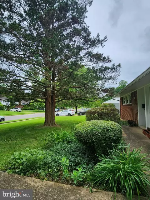 7510 Hogarth St, Springfield, VA 22151 photo 5