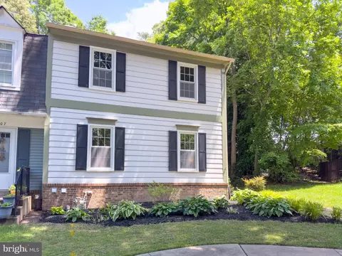 Exterior - 7409 Spring Tree Dr, Springfield, VA 22153 photo 7 of 7