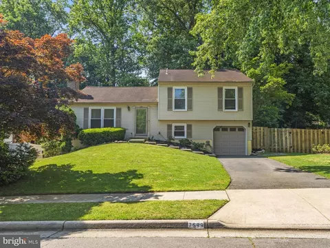 7599 Ruxton Dr, Springfield, VA 22153