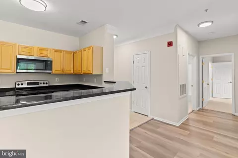 Entry Way - 1550 Spring Gate Dr #8109, Mclean, VA 22102 photo 5 of 5