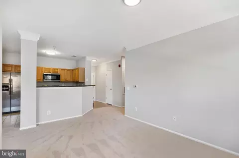 Living - 1550 Spring Gate Dr #8109, Mclean, VA 22102 photo 8 of 9
