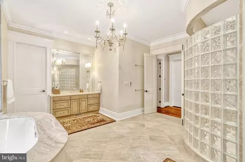Bath - 835 Whann Ave, Mclean, VA 22101 photo 3 of 12