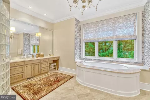 Bath - 835 Whann Ave, Mclean, VA 22101 photo 5 of 12
