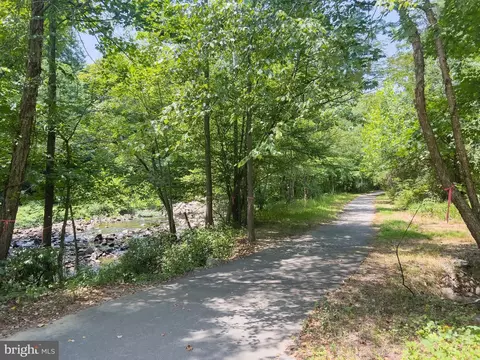 8474 Blue Oak Ct, Springfield, VA 22153 photo 55
