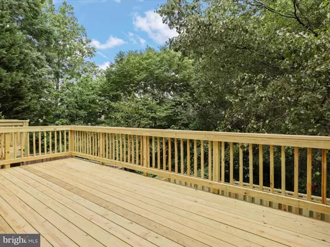 7823 Solomon Seal Dr, Springfield, VA 22152 photo 16