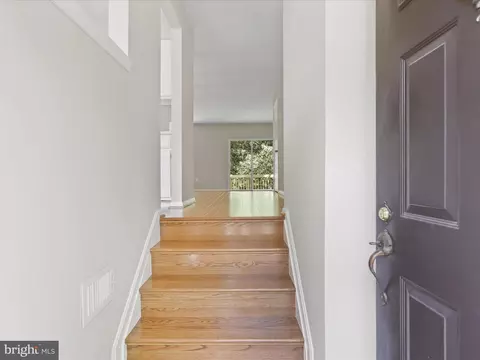 7823 Solomon Seal Dr, Springfield, VA 22152 photo 4