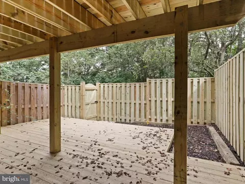 7823 Solomon Seal Dr, Springfield, VA 22152 photo 38