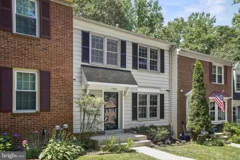 7430 Spring Tree Dr, Springfield, VA 22153 photo 25