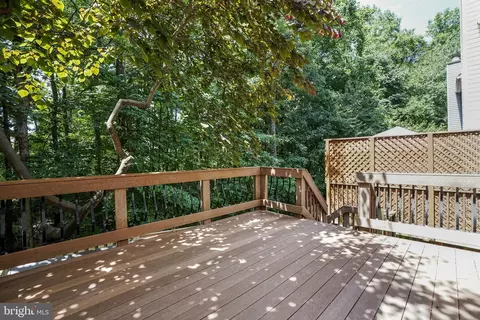 7430 Spring Tree Dr, Springfield, VA 22153 photo 23
