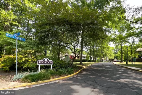 2297 White Cornus Ln, Reston, VA 20191 photo 27