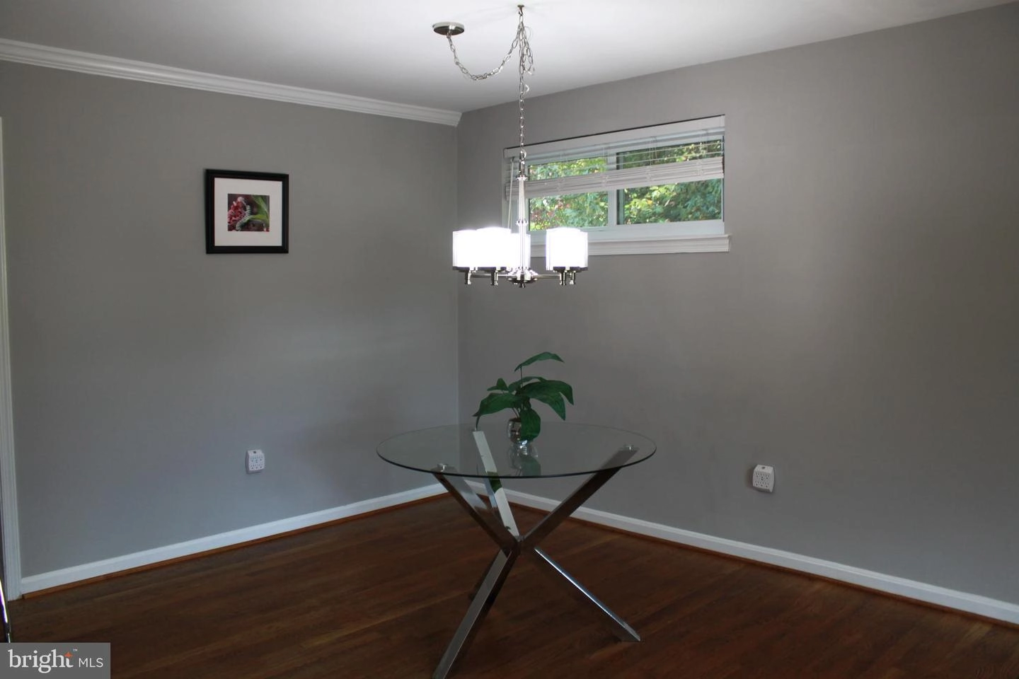 Other - 5505 Ventnor Ln, Springfield, VA 22151 photo 4 of 24