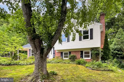 5203 Olley Ln, Burke, VA 22015 photo 3