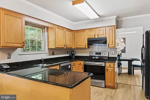 13153 Ruby Lace Ct, Herndon, VA 20171 photo 23