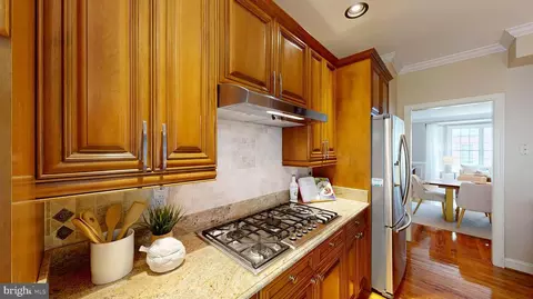 1333 Lessard Ln, Mclean, VA 22101 photo 13