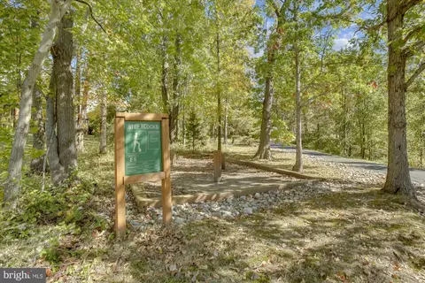 13125 Plotner Farm Rd, Herndon, VA 20171 photo 45