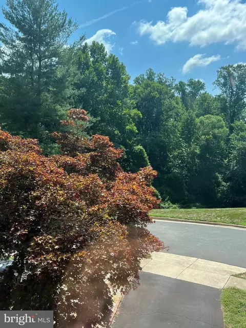 7452 Ridge Oak Ct, Springfield, VA 22153 photo 49