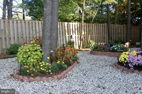 Exterior - 6197 Deer Ridge Trl, Springfield, VA 22150 photo 9 of 18