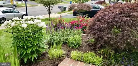 Other - 6197 Deer Ridge Trl, Springfield, VA 22150 photo 26 of 29
