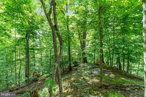 Exterior - 718 Bulls Neck Rd, Mclean, VA 22102 photo 7 of 12