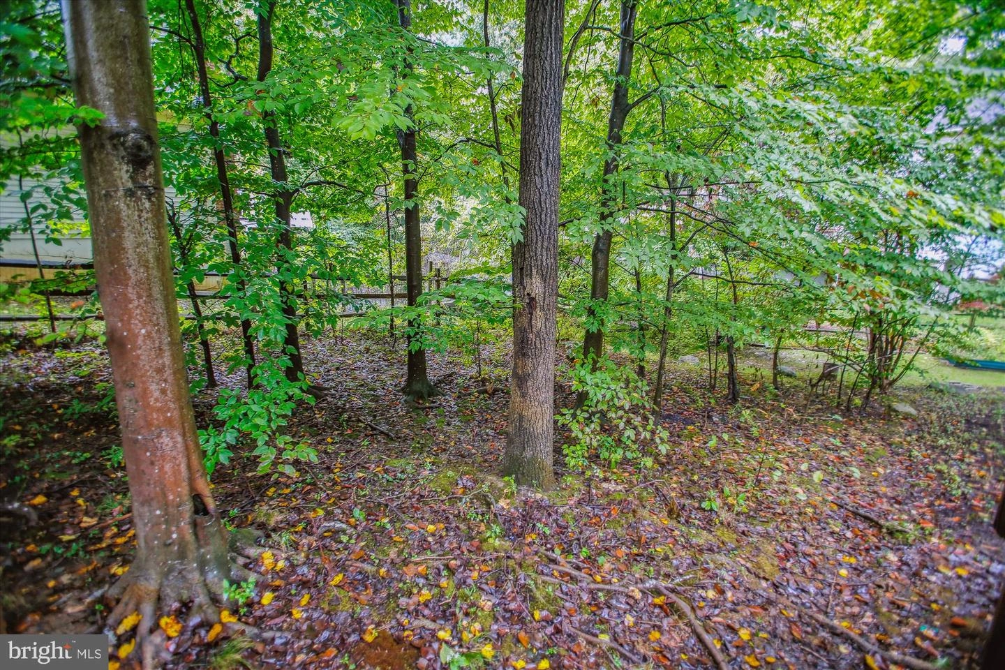 9121 Beachway Ln, Springfield, VA 22153 photo 44