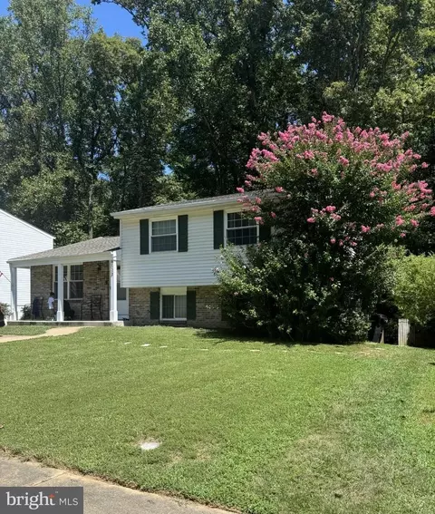 8123 Winter Blue Ct, Springfield, VA 22153 photo 2