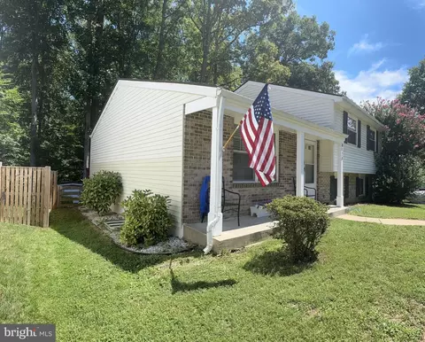 8123 Winter Blue Ct, Springfield, VA 22153 photo 3