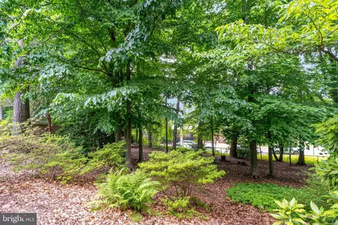 8604 Clydesdale Rd, Springfield, VA 22151 photo 5