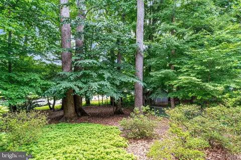 8604 Clydesdale Rd, Springfield, VA 22151 photo 6