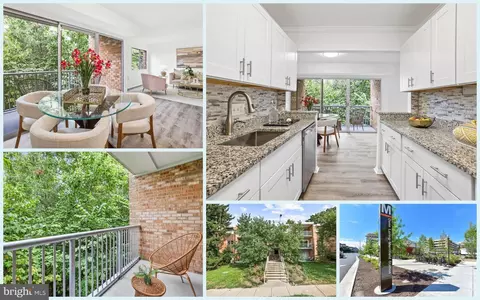 2909 Charing Cross Rd #11, Falls Church, VA 22042