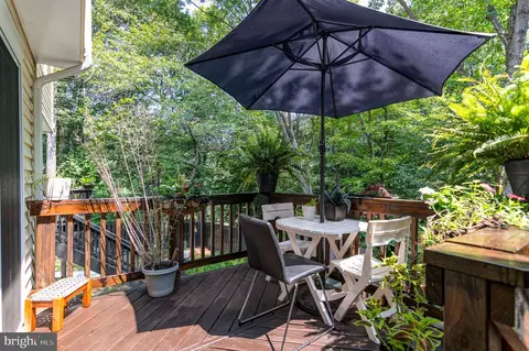 8303 Windfall Rd, Springfield, VA 22153 photo 33