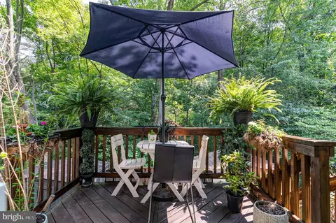 8303 Windfall Rd, Springfield, VA 22153 photo 32