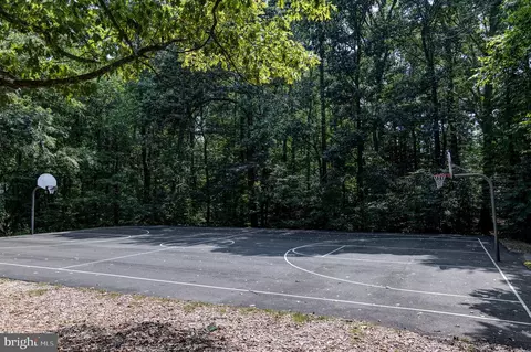 8303 Windfall Rd, Springfield, VA 22153 photo 35