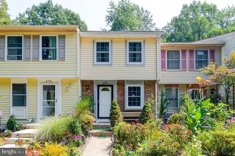 8303 Windfall Rd, Springfield, VA 22153