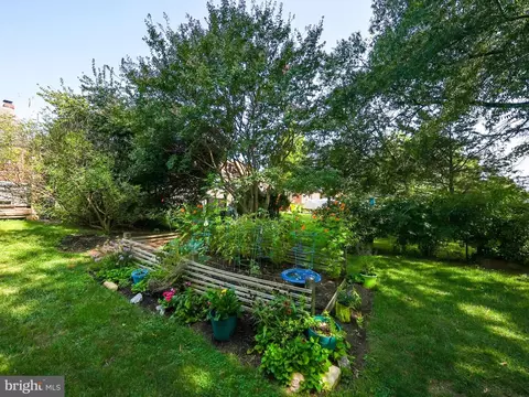 6025 Brunswick St, Springfield, VA 22150 photo 40